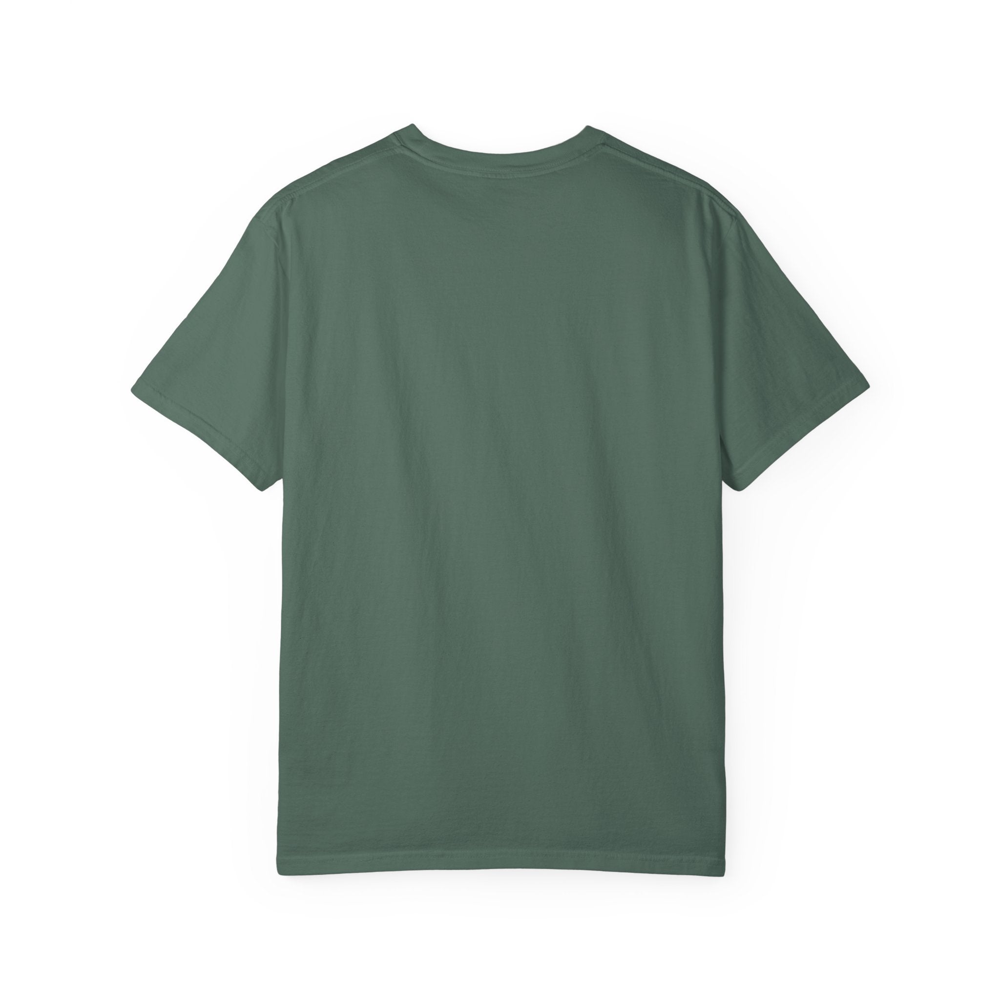 Not My Circus Not My Monkeys – Carousel Front Print Tee | Comfort Colors® Unisex Shirt