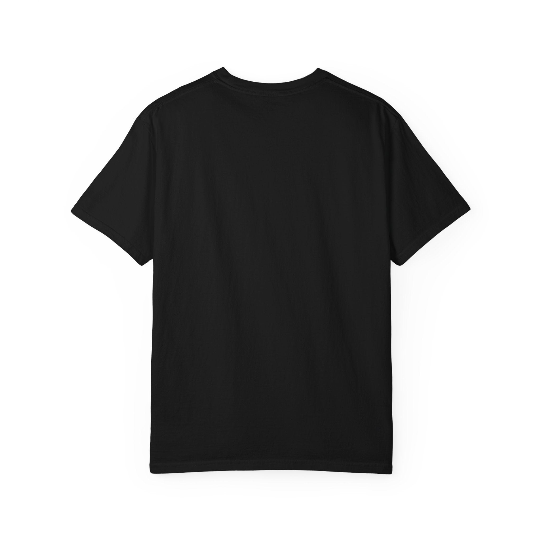 Not My Circus Not My Monkeys – Carousel Front Print Tee | Comfort Colors® Unisex Shirt